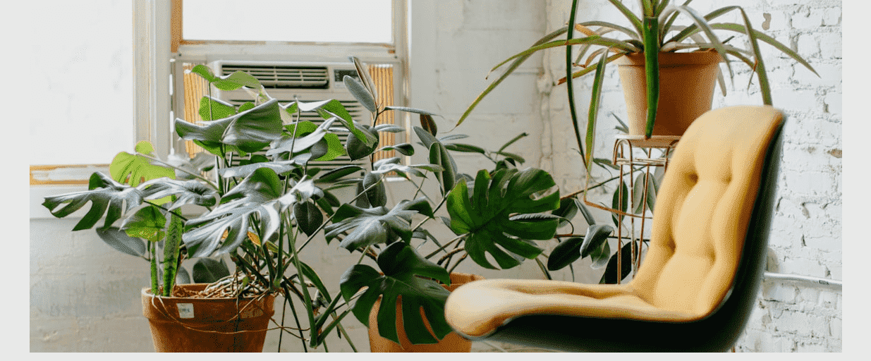 SEO-Driven Design: Enhancing User Experience and Boosting Rankings