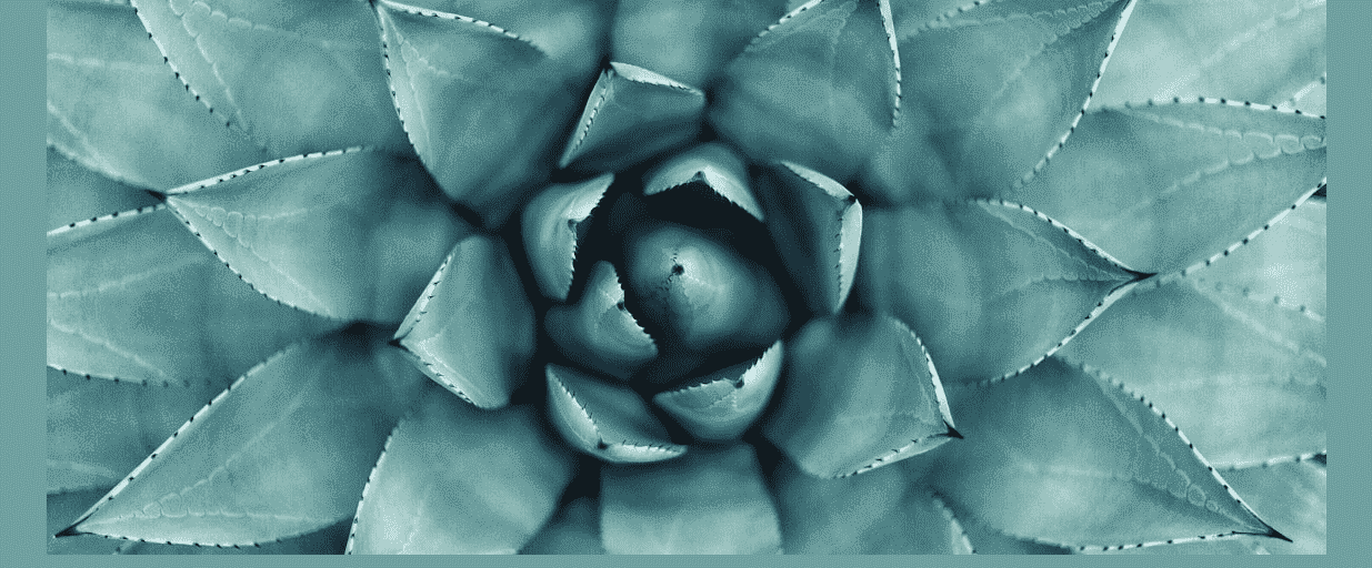 Mastering the Art: Building an Effective Content Strategy with Blog and Podcast Integration